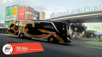 Bus Pariwisata Tali Jaya