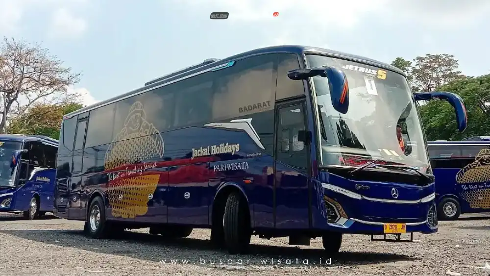 buspariwisata.id - foto bus pariwisata jackal holidays b