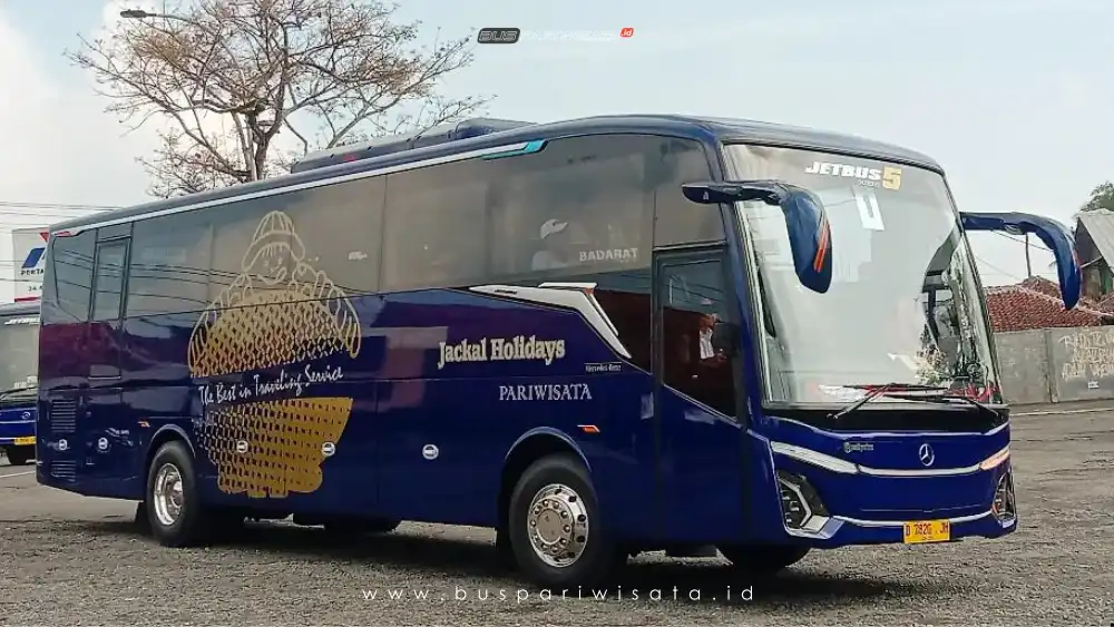 buspariwisata.id – foto bus pariwisata jackal holidays d