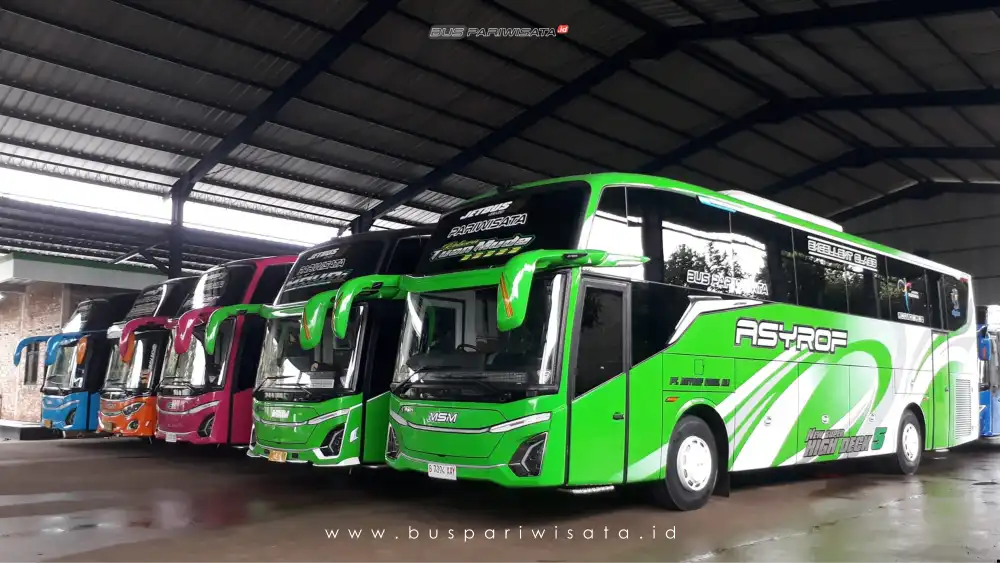 buspariwisata.id - foto bus pariwisata msm asyrof fadel a