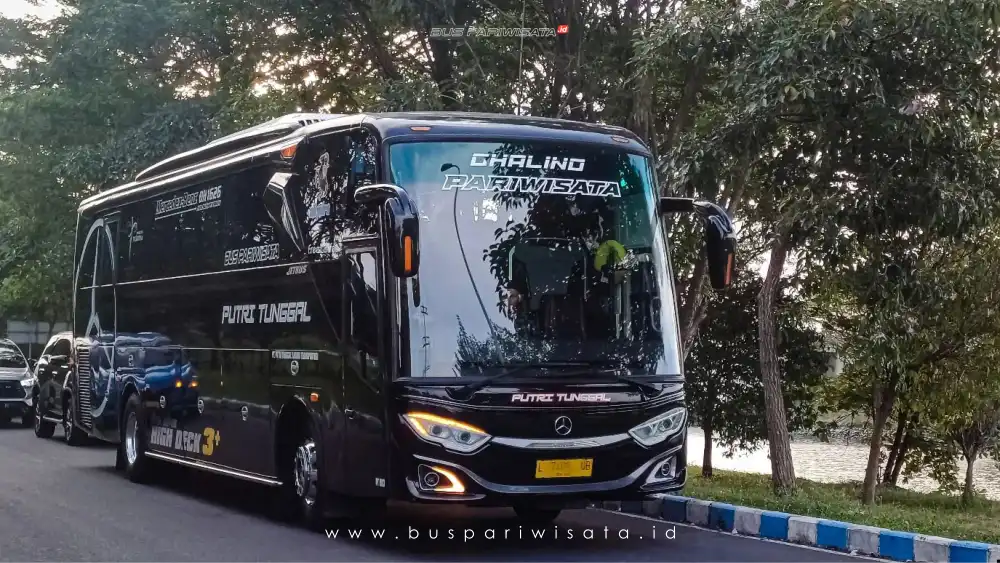 buspariwisata.id- foto bus pariwisata putri tunggal c