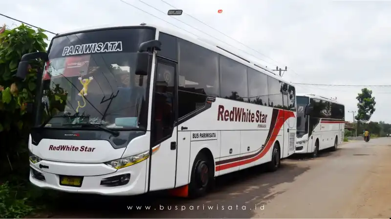 buspariwisata.id - foto bus pariwisata red white star h