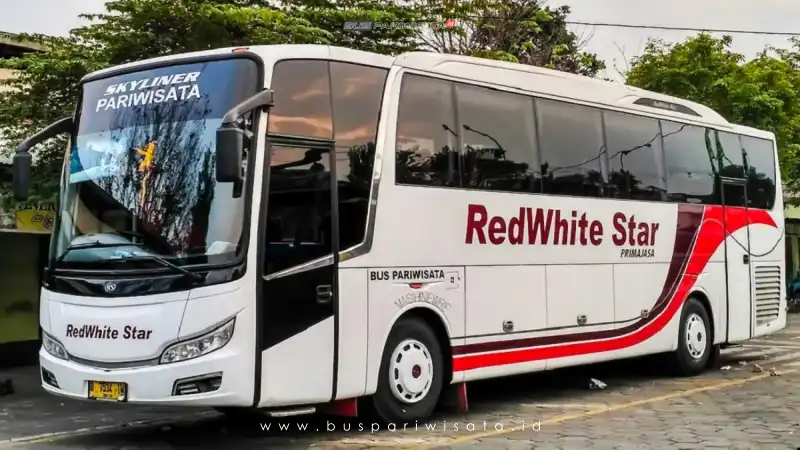 buspariwisata.id - foto bus pariwisata red white star i