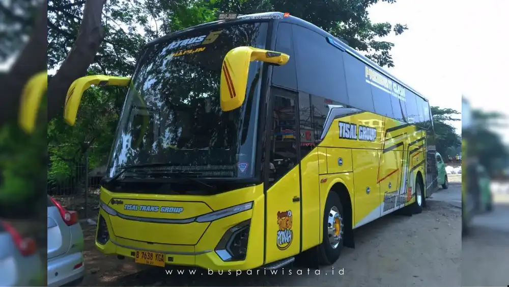 buspariwisata.id - foto bus pariwisata tisal group d