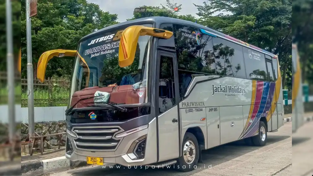 buspariwisata.id – foto medium bus pariwisata jackal holidays a