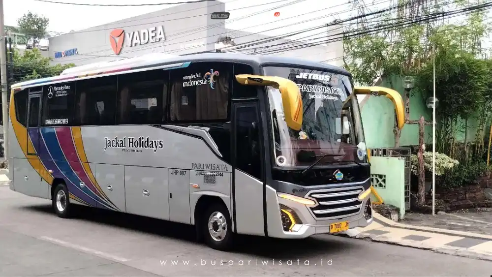 buspariwisata.id - foto medium bus pariwisata jackal holidays b