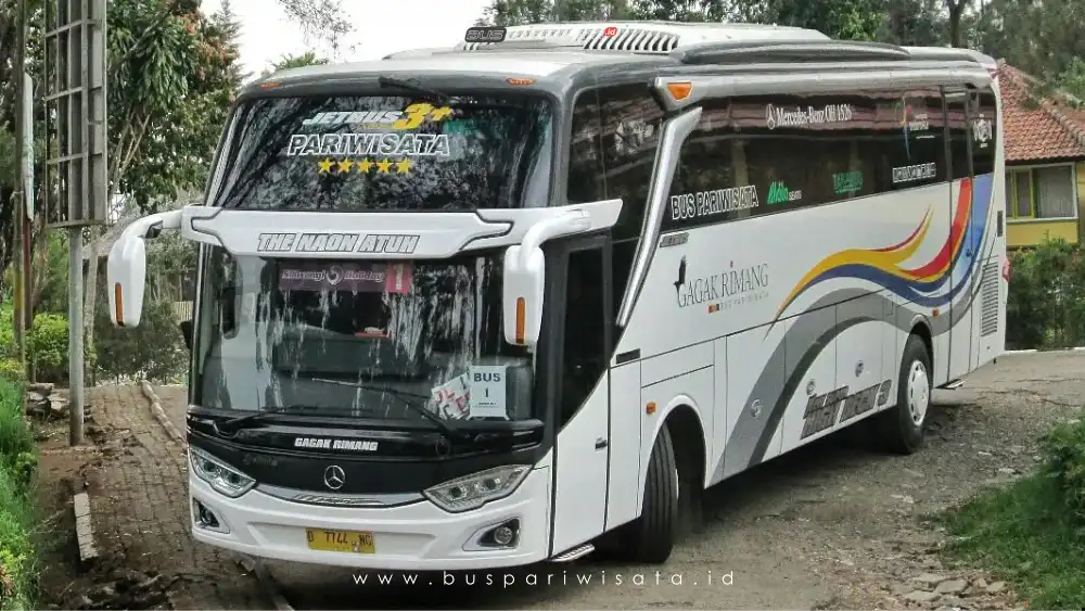 buspariwisata.id - foto bus pariwisata gagak rimang c