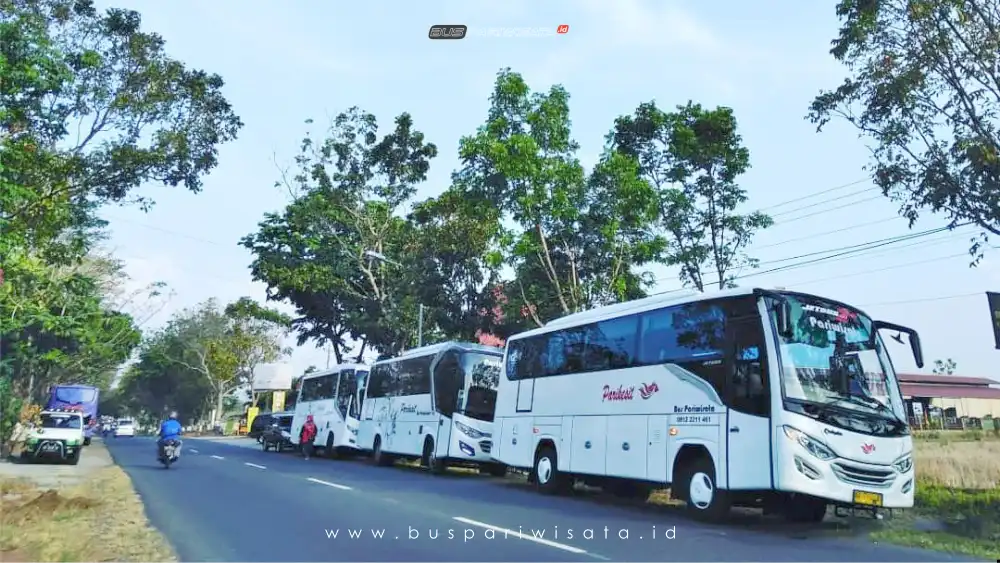 buspariwisata.id - foto medium bus pariwisarta parikesit a