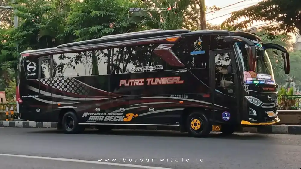 buspariwisata.id- foto medium bus pariwisata putri tunggal b